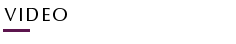 Web